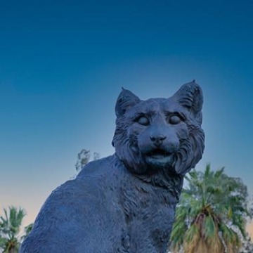 Wildcat Statue 